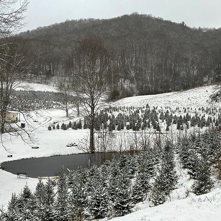 Vilas Songbird Cabin 빌라 외부 사진